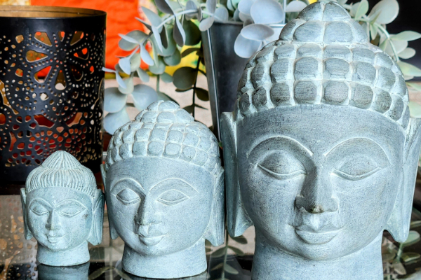 Buddha's Teachings For a Flourishing Life